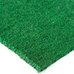 Astro Turf rental